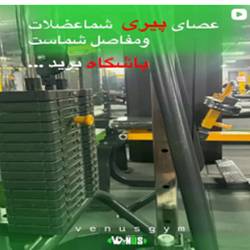 باشگاه ونوس بندرعباس