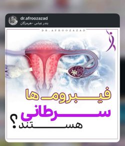 متخصص زنان و زایمان بندرعباس