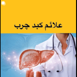 اینستاگرام دکتر فرخنده رزم پور متخصص تغذیه بندرعباس