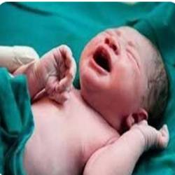 دکتر مهناز مصلی نژاد متخصص زنان در بندرعباس