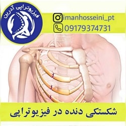 اینستاگرام کلینیک فیزیوتراپی آدرین بندرعباس