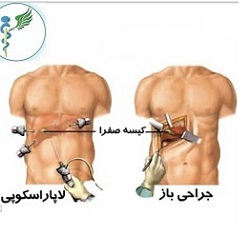 بهترین متخصص غدد بندرعباس