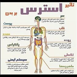 کلینیک ترک اعتیاد دکتر صدیق بندرعباس