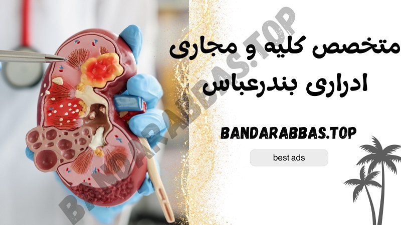 متخصص کلیه و مجاری ادراری بندرعباس
