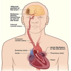 دکتر سلطانی _بندرعباس