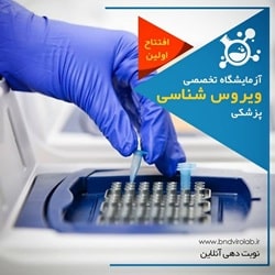 بهترین ازمایشگاه بندرعباس_ویروس شناسی