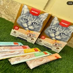 بهترین پت شاپ بندرعباس | پت شاپ سیمبا