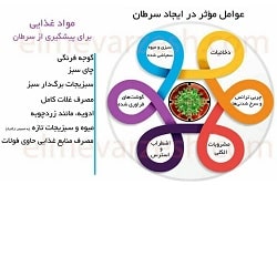شماره دکتر زاهد کریمی | متخصص خون و آنکولوژی بندرعباس