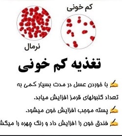 دکتر محمد رضا اوزی | متخصص خون بندرعباس