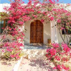 اقامتگاه بوگردی گارومزنگی فشم