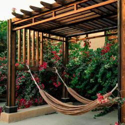 اقامتگاه نخل ناخدا قشم