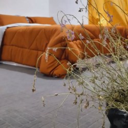  بوم گردی نخل آقا جان قشم