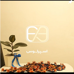 بهترین کارشناسان سئو بندرعباس