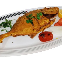 اینستاگرام رستوران دریایی ایران زمین قشم